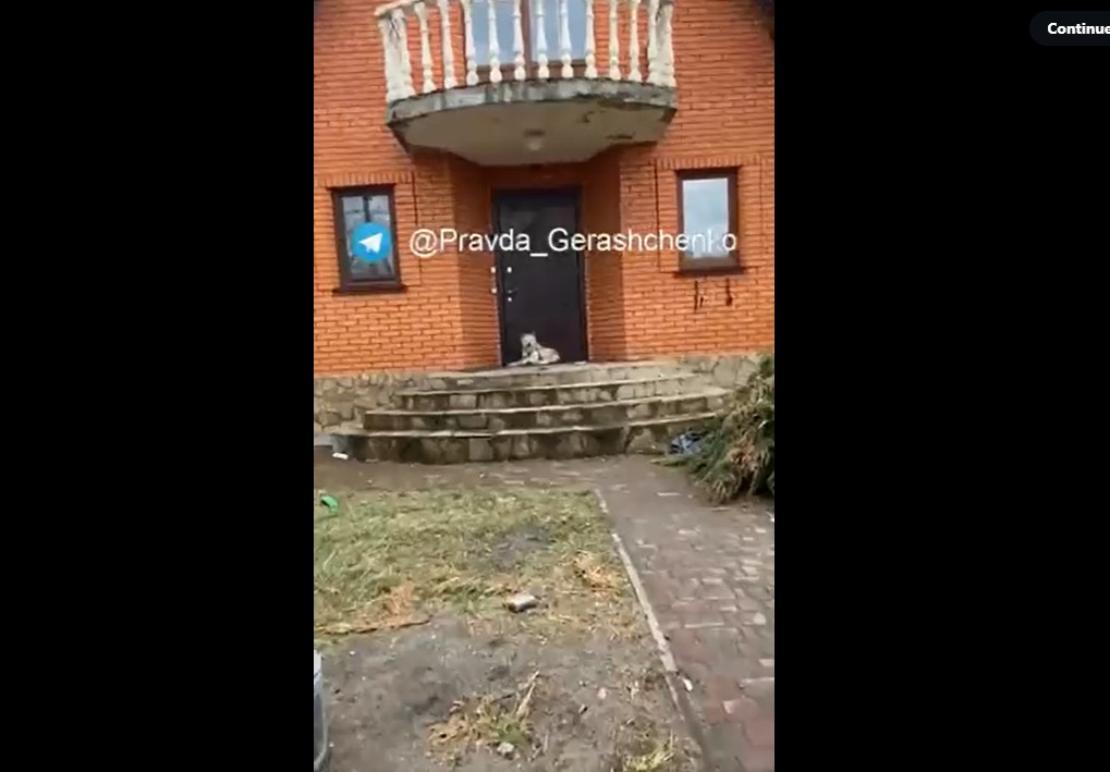 (影)夫染武漢肺炎病逝 烏克蘭寡婦遭俄軍性侵殺害！愛犬苦守家門口