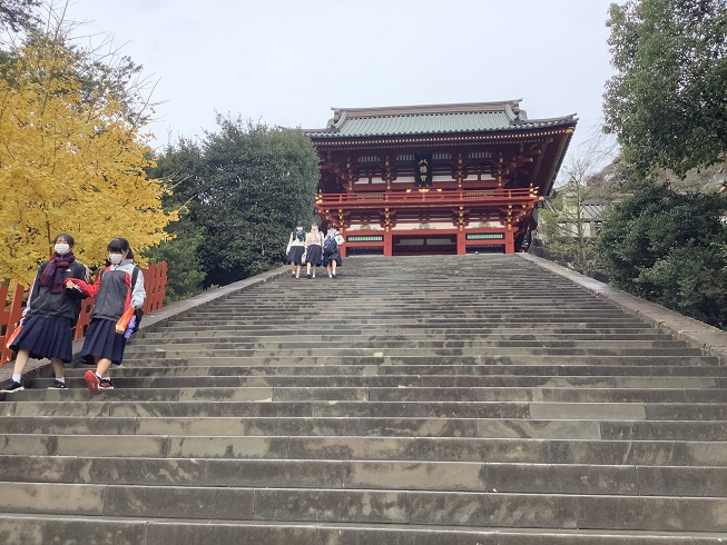 鎌倉正中心的鶴岡八幡宮是源賴朝遷來的氏社，是鎌倉象徵，也是鎌倉守護神 圖：劉黎兒/攝