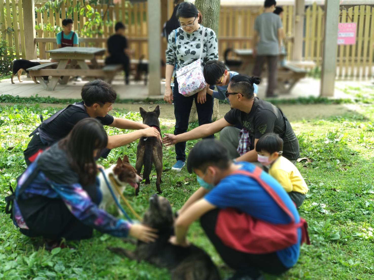 中和動物之家志工帶領參訪民眾如何與毛寶貝接觸，跟小朋友進行生命教育。   圖：新北市動保處提供