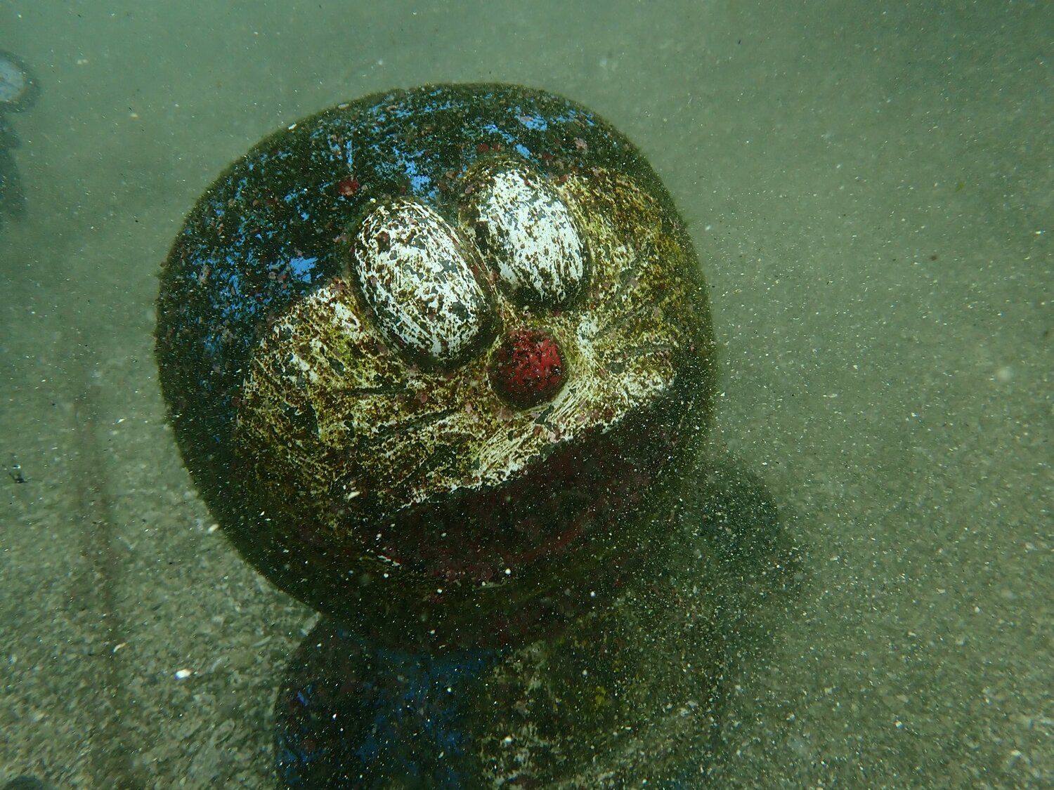 潛水客海底驚見「哆啦A夢翻白眼」 藻類纏身辛酸畫面流出