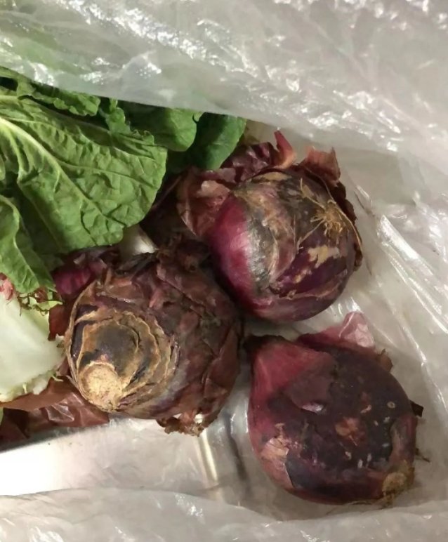 上海封城 居民領物資拿到「腐爛鴨肉」臭到想吐 才吃一口狂腹瀉