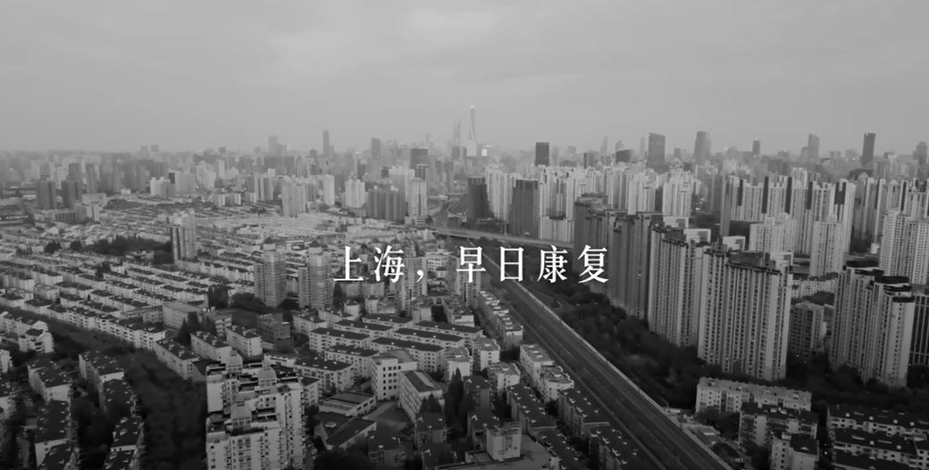 柯基犬被活活打死!《四月之聲》短片瘋傳揭露中國疫情亂象 慘遭封殺