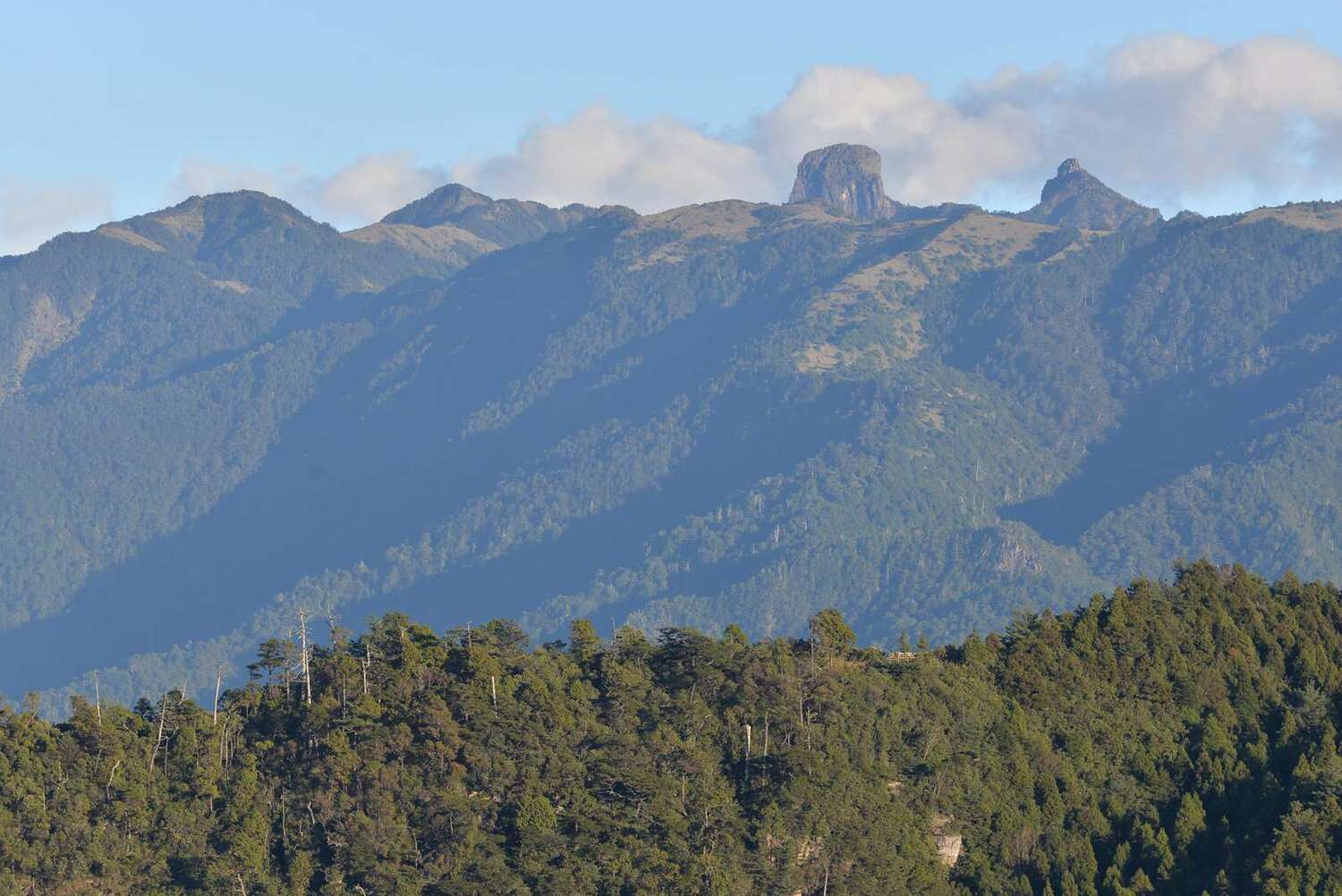 榛山步道頂點的觀景台是欣賞聖稜線壯闊之美的好去處。   圖：森之形自然教育團隊 / 提供 提供