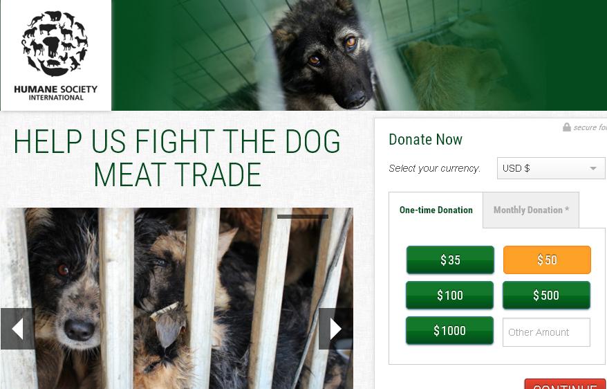 國際人道協會發動網路連署及捐款活動，抵制中國廣西的玉林狗肉節。   圖：翻攝國際人道協會官網
