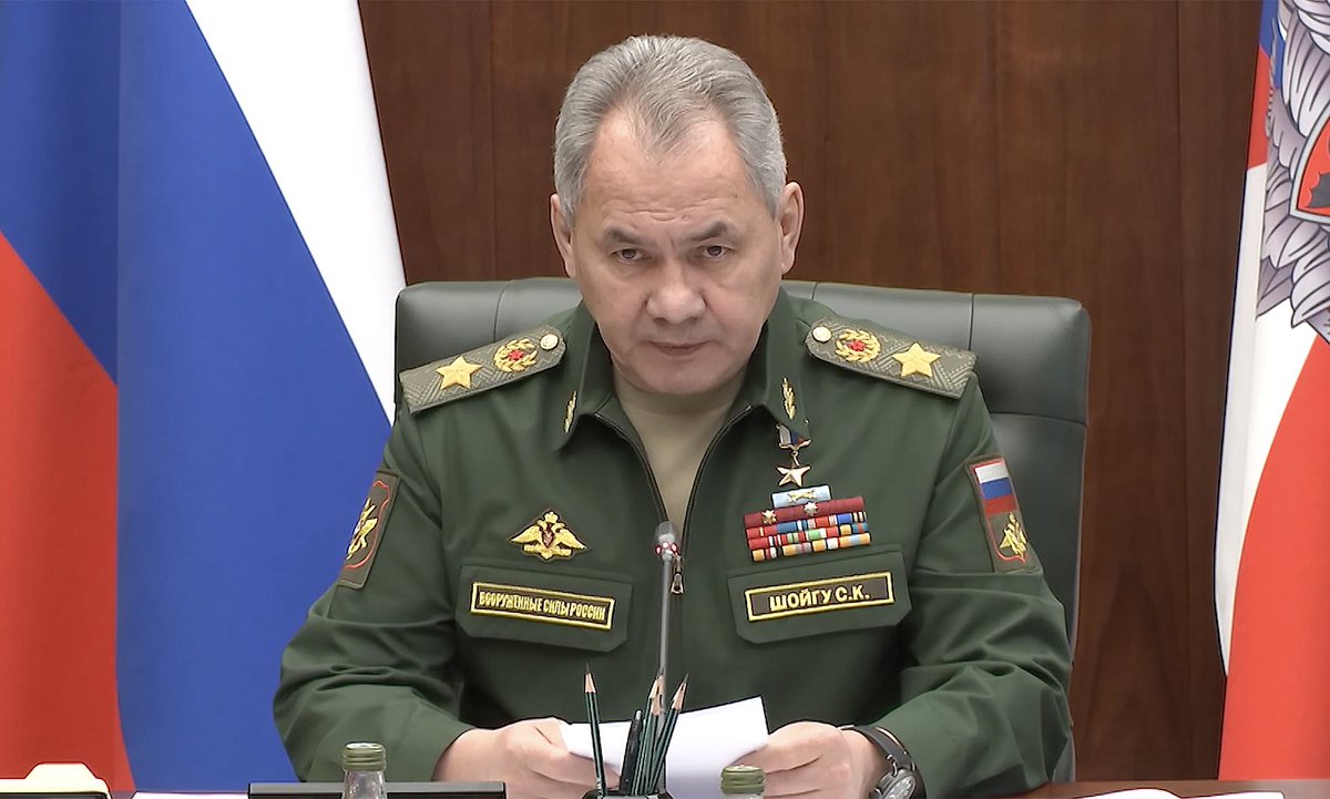 俄羅斯國防部長紹伊古（Sergei Shoigu）。   圖：截自推特@Magnifyingglas（資料照）