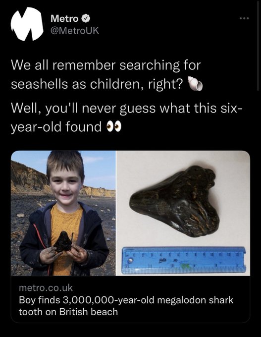 英6歲男孩撿到寶 300萬年前巨齒鯊大鋼牙出土
