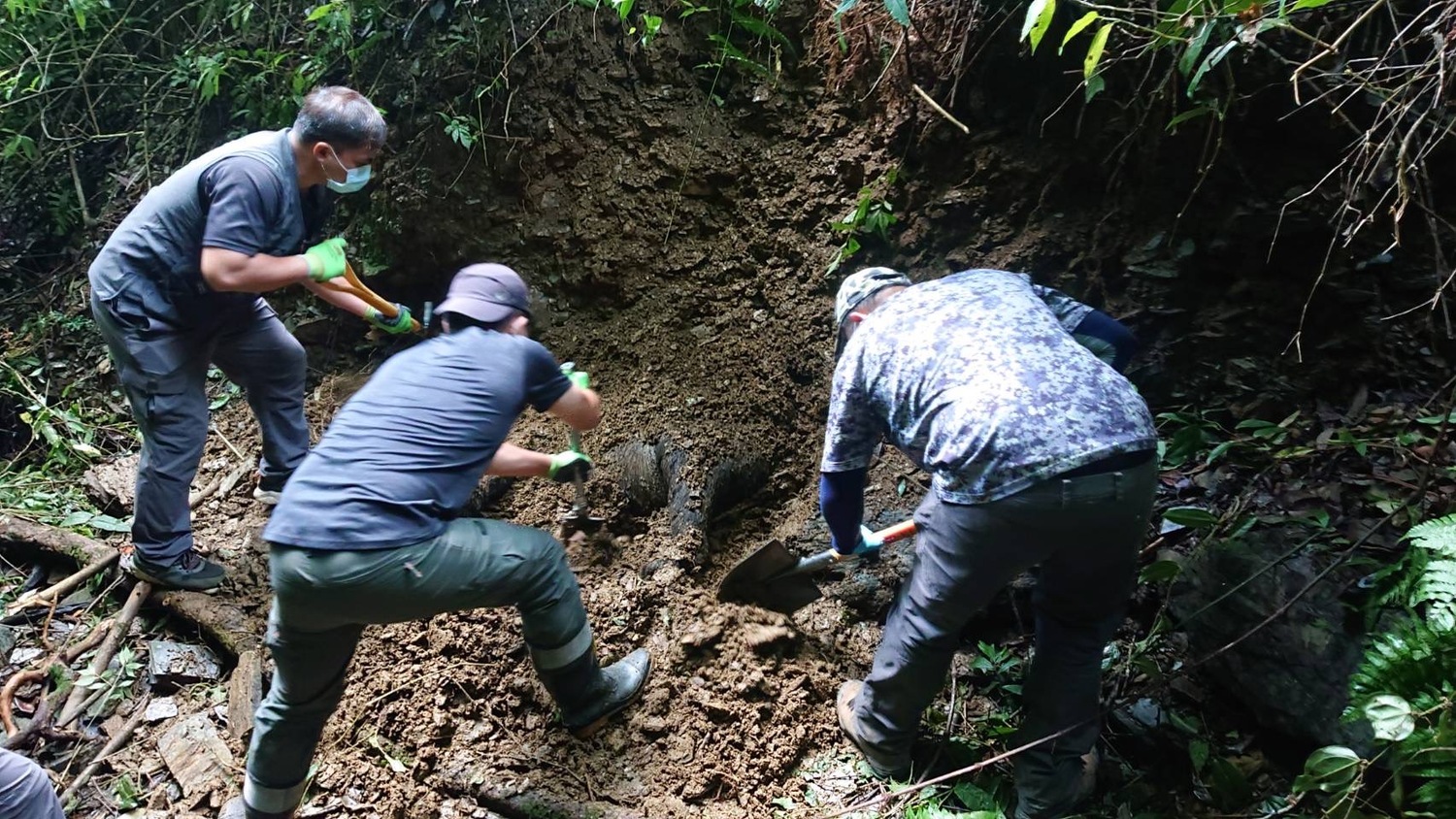 東卯山黑熊遇害遭掩埋，林務局表示，已將遺體送驗並啟動偵辦。   圖：農委會林務局／提供