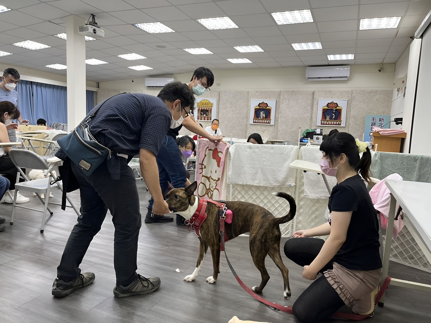 為讓動物之家收容犬隻更為穩定、親人，動保處特聘請訓犬師協助。   圖：新北市動保處提供