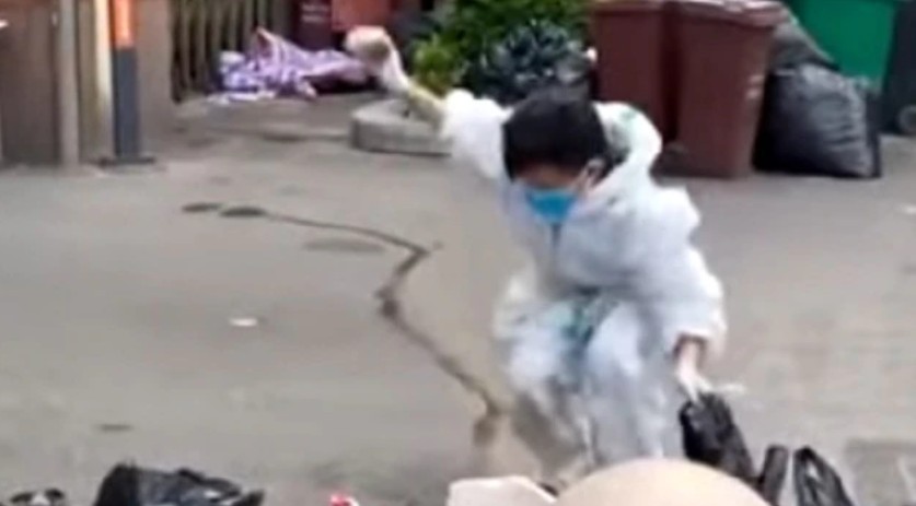 中國上海市的1個社區近日發生一起「大白當街摔死魚」的事件，引發議論。   