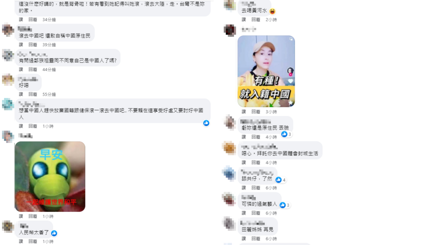 台灣網友紛紛到田麗臉書留言狠酸。   圖：翻攝自臉書/田小麗的台東生活
