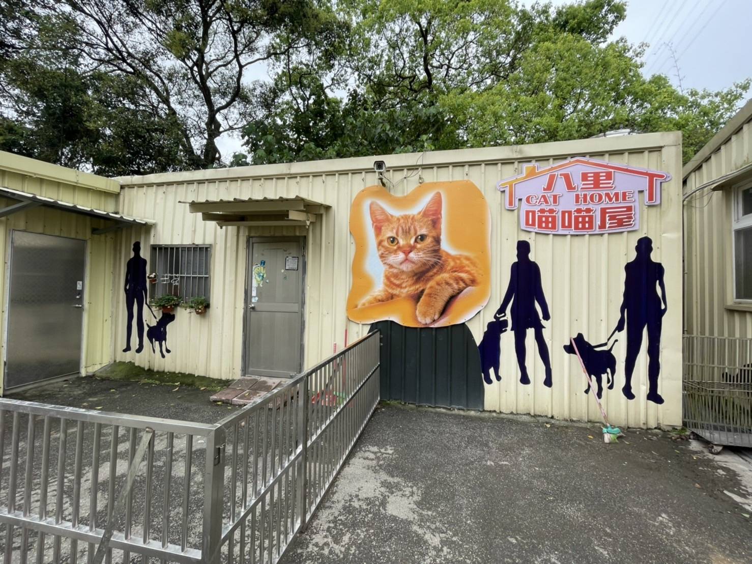 八里動物之家的「喵喵屋」，是貓的友善生活環境。   圖：新北市動保處提供