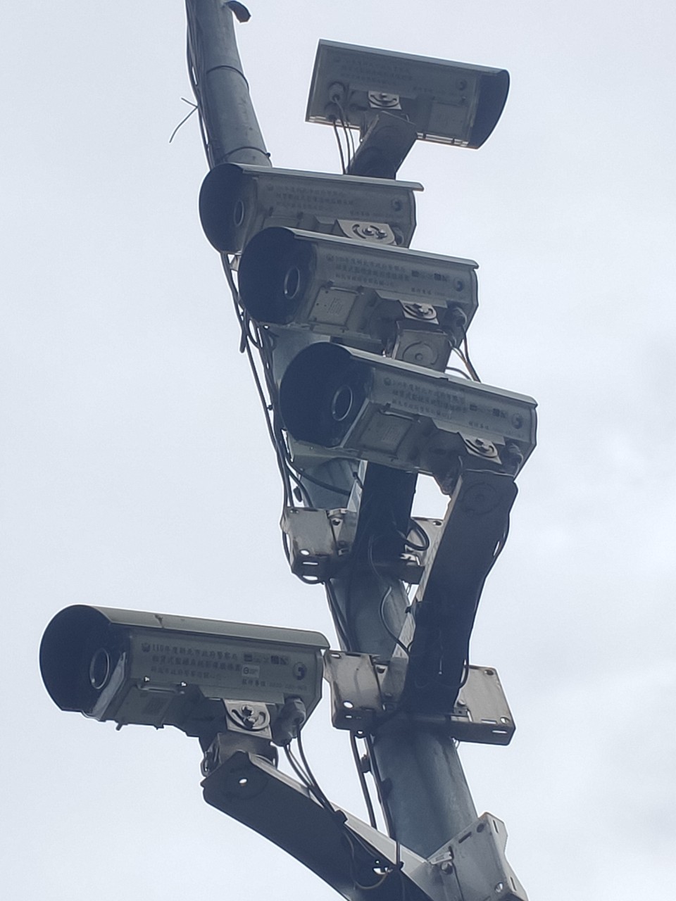 中和錦和運動公園旁一支電線杆上掛有5支監視器，其中4支都照向同一個方向。   圖：張志豪服務處提供