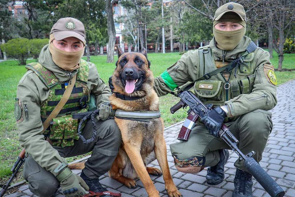 棄暗投明！前俄戰犬變身掃雷犬 萌當Patron同事