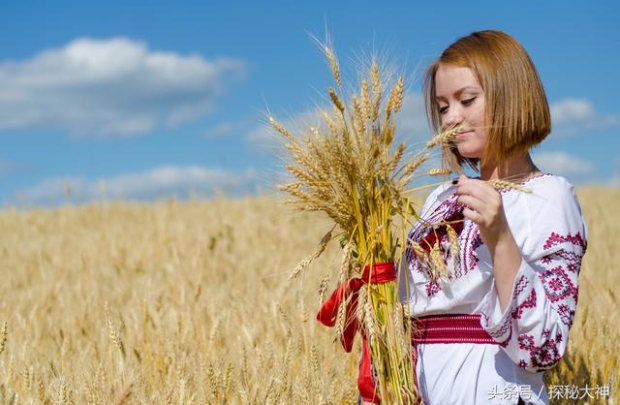 烏克蘭為世界農業大國，受戰爭以及印度禁止小麥出口影響導致小麥庫存銳減。   圖 : 翻攝自頭條號/探訪大神