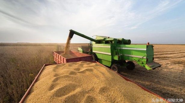 如今烏克蘭還有 1,300 萬噸的玉米和 380 萬噸的小麥無法順利出口，至今至少損失 15 億美元。   圖 : 翻攝自頭條號/探訪大神