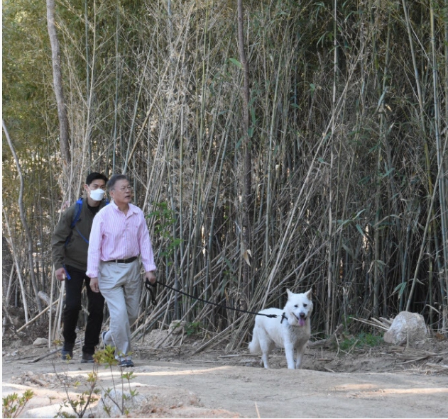 退休後還被「放送頭」堵家門外連罵20天 附近老鄰居也遭殃 文在寅報警了！