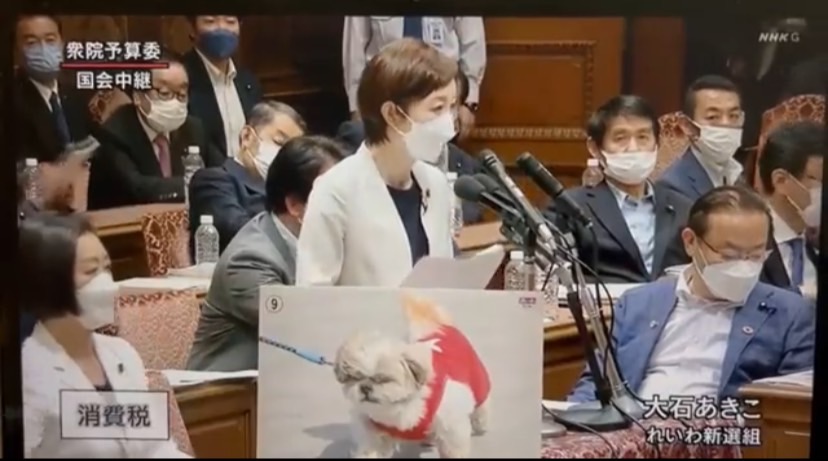 岸田稱不降低消費稅 日議員掏出「狗照片」批：資本家的狗！