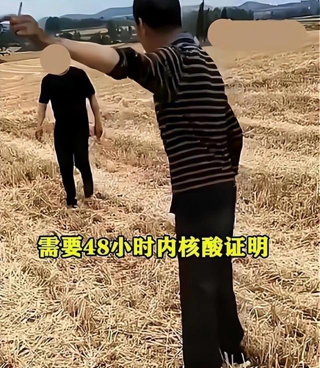 荒唐至極！中國疫情亂象 河南麥農收割竟得出示核酸證明