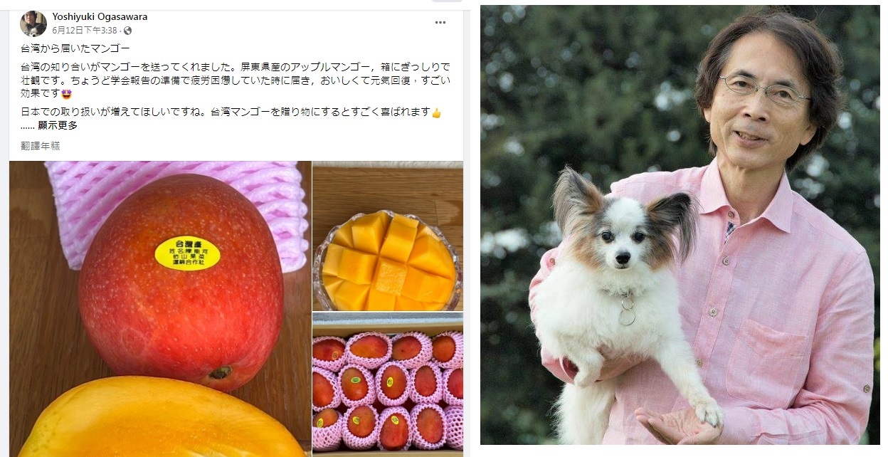 小笠原欣幸吃台灣芒果精神百倍 批中國反台很可悲
