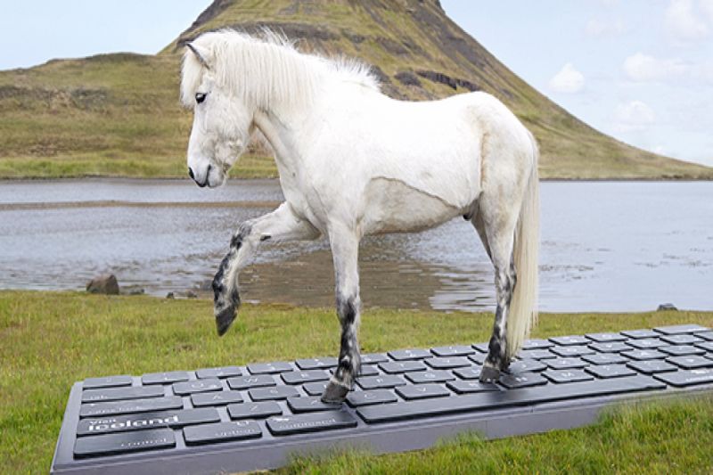 冰島觀光局推出讓馬兒替遊客回工作信件的特殊服務。   圖／FB帳號inspiredbyiceland