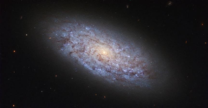 NASA用哈伯望遠鏡拍攝的螺旋矮星系 NGC 5949。(示意圖)   圖: ESA/Hubble & NASA