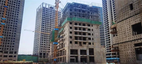 用「紅碼」搞報復？監管資金流向不明 鄭州業主參與維權 樓盤陷停工