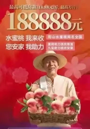 中國賣房奧步不斷 「愛心助農 水蜜桃抵購房款」桃農打臉:拿去賣都更值錢