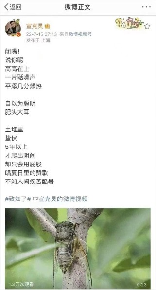 新文字獄? 寫「致知了」詩暗諷習近平「高高在上」？中官媒主編被迫道歉