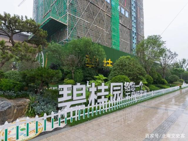 一半以上財產就這樣不見了! 亞洲女首富楊惠妍因中國房產危機受重創