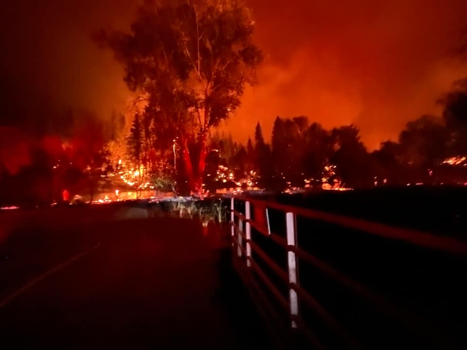 美國麥金尼（McKinney）野火8月於加州核俄勒岡州邊界的錫斯基尤縣（Siskiyou）肆虐，人們目睹野生動物紛紛逃竄避難，當局並強制撤離周圍100多戶民宅。   圖：擷自推特