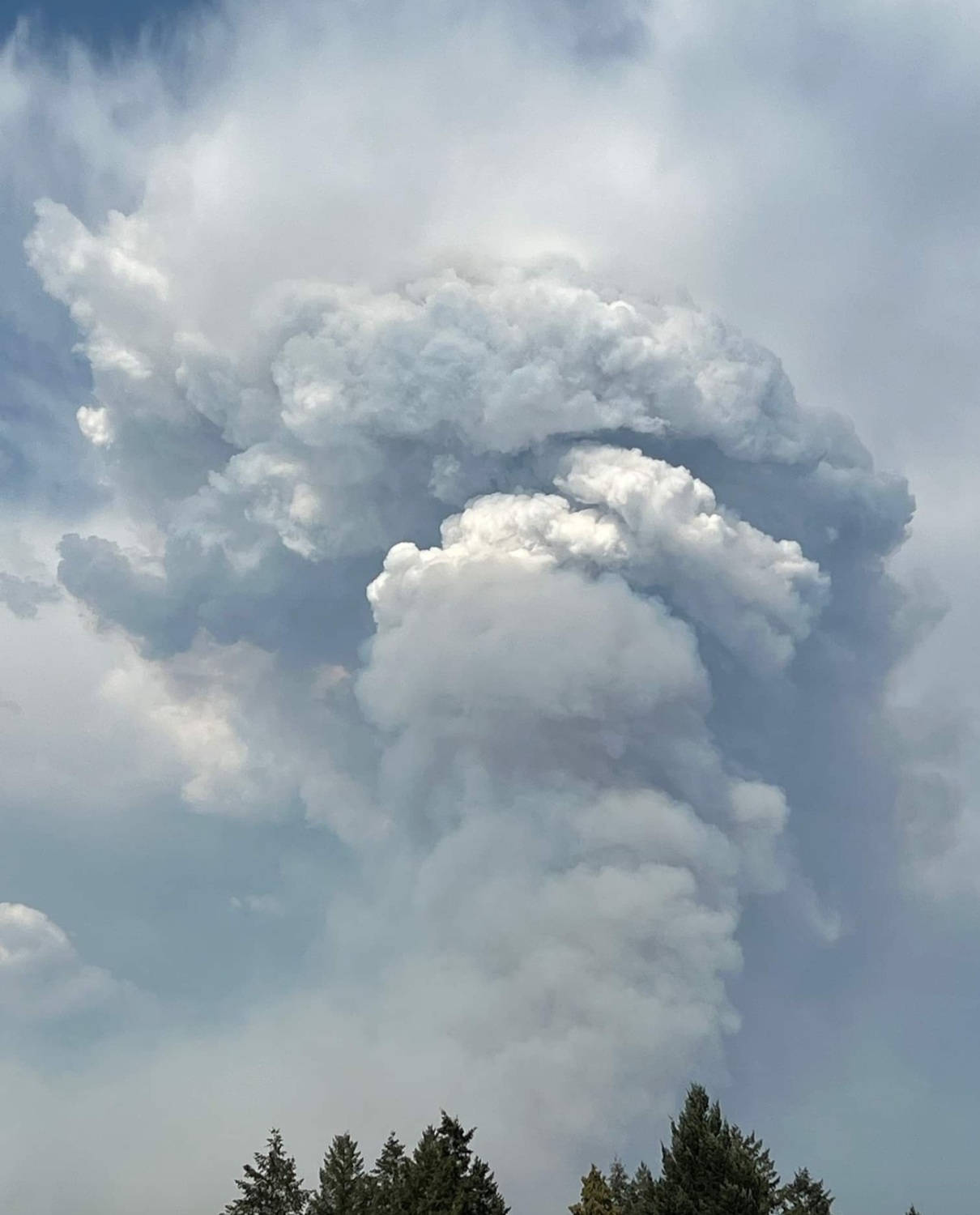 火積雲挾帶閃電或將加大火勢！北加州熊熊野火燒毀「6成台北面積 」