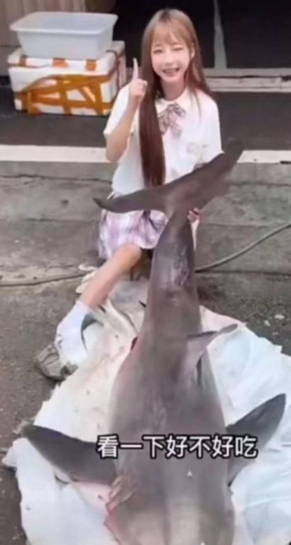 保育大白鯊被公然直播烹煮! 中國百萬網紅涉違法 最重可判10年徒刑