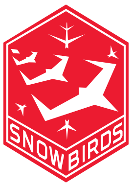 不敢飛了!  加拿大空軍「雪鳥」飛行隊發生事故  軍方下令暫時停飛