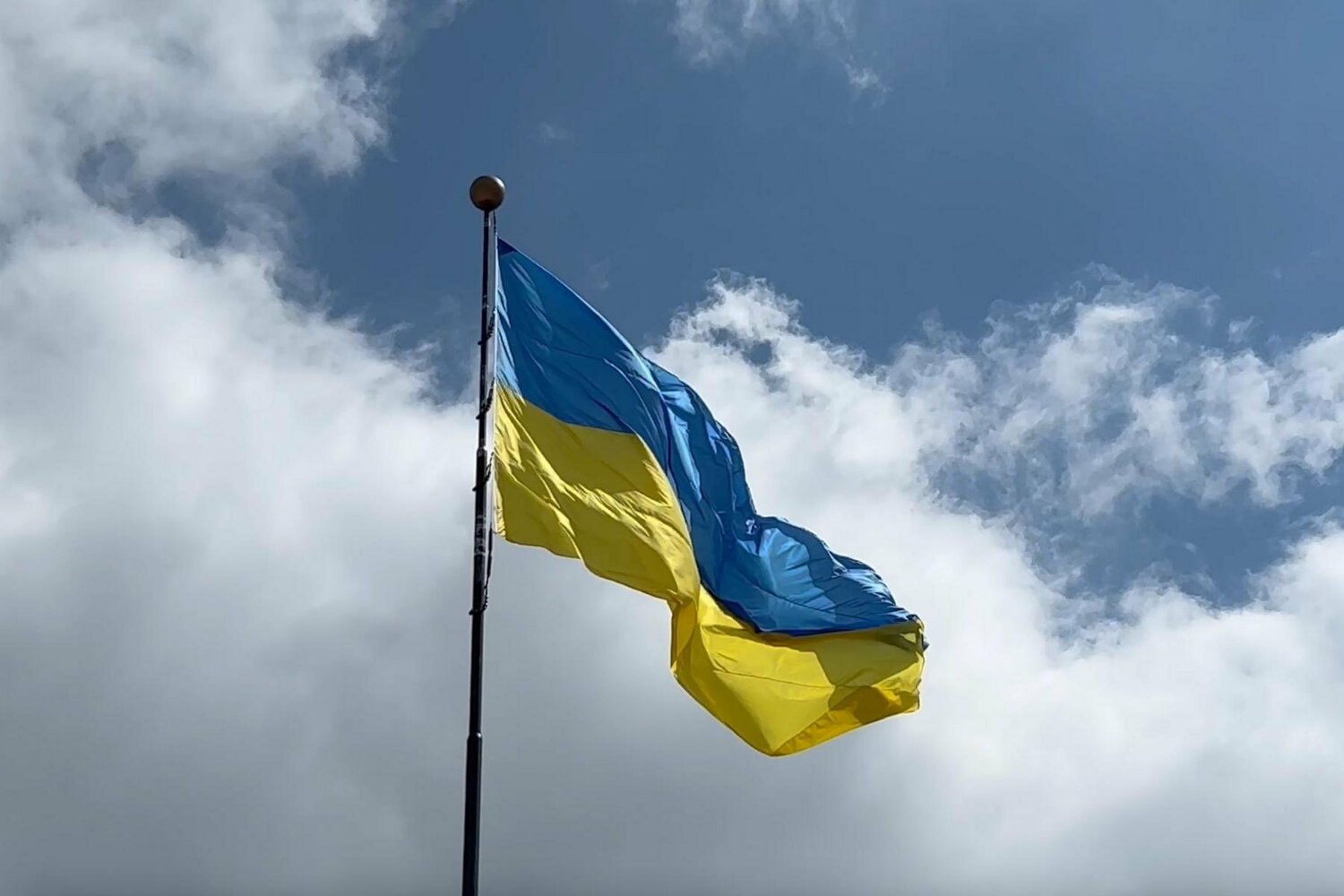 烏克蘭獨立紀念日 31 周年。   圖: 翻攝自 @mustlovesnark 推特 