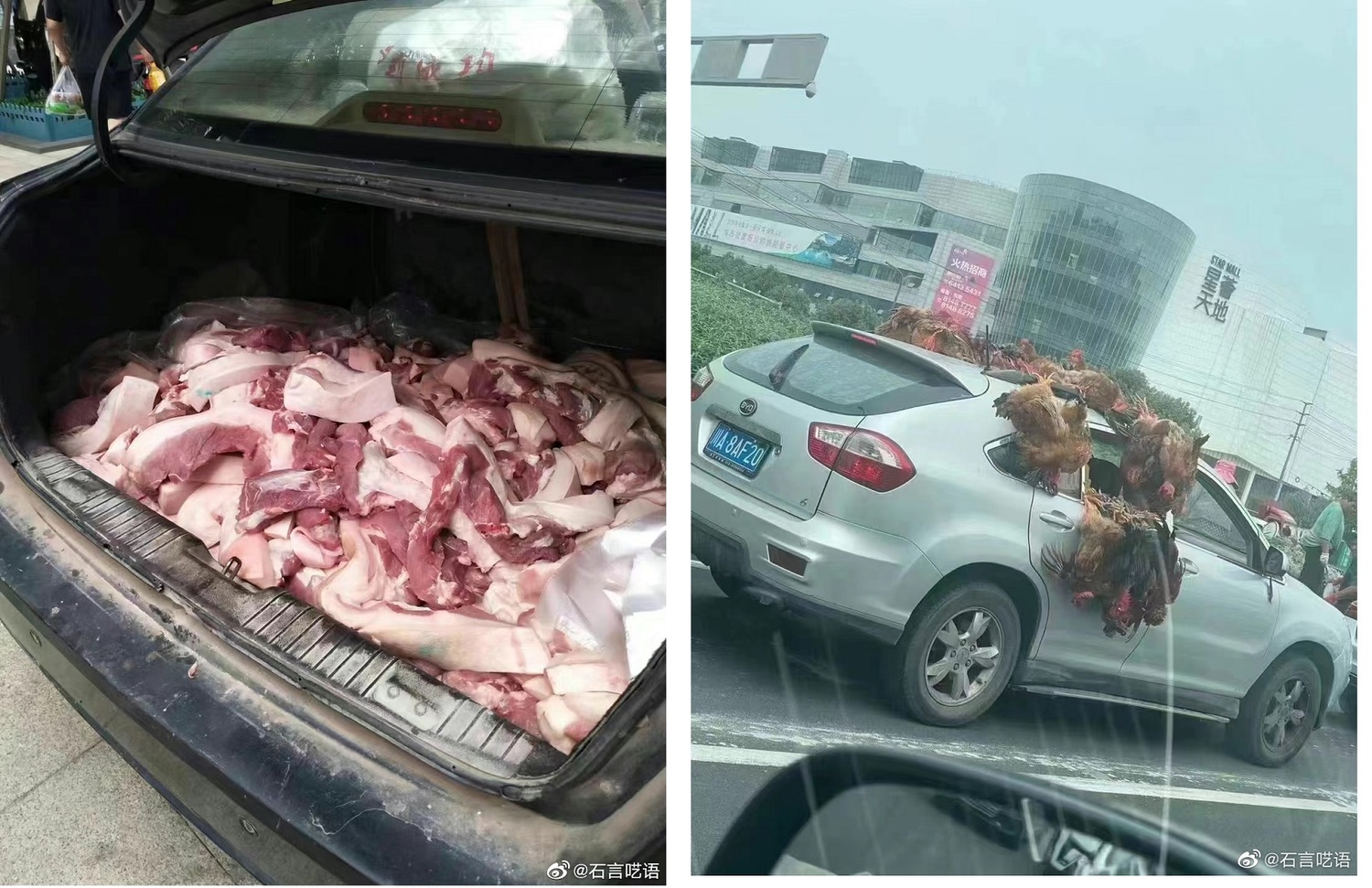 中國網友po出成都封城前,民眾瘋搶物資情形,後車廂一堆生豬肉(左圖)與掛滿活雞的車子,讓人傻眼。 圖:翻攝自石言囈語微博 中國網友po出成都封城前,民眾瘋搶物資情形,後車廂一堆生豬肉(左圖)與掛滿活雞的車子,讓人傻眼。 圖:翻攝自石言囈語微博