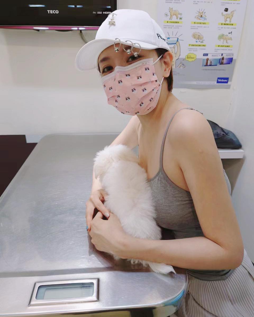 藝人李妍憬昨日在臉書分享帶毛孩打疫苗的過程。   圖：翻攝自李妍憬臉書