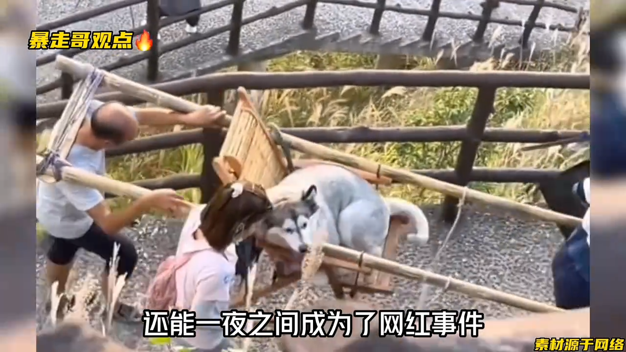 中國江西武功山風景區有女子雇轎夫抬狗上山，引起網友砲轟。   圖：翻攝自暴走哥觀點