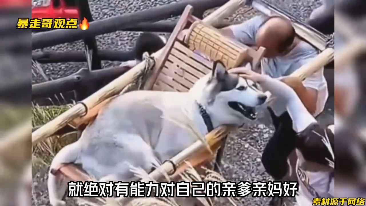 中國江西武功山風景區有女子雇轎夫抬狗上山，引起網友砲轟。   圖：翻攝自暴走哥觀點