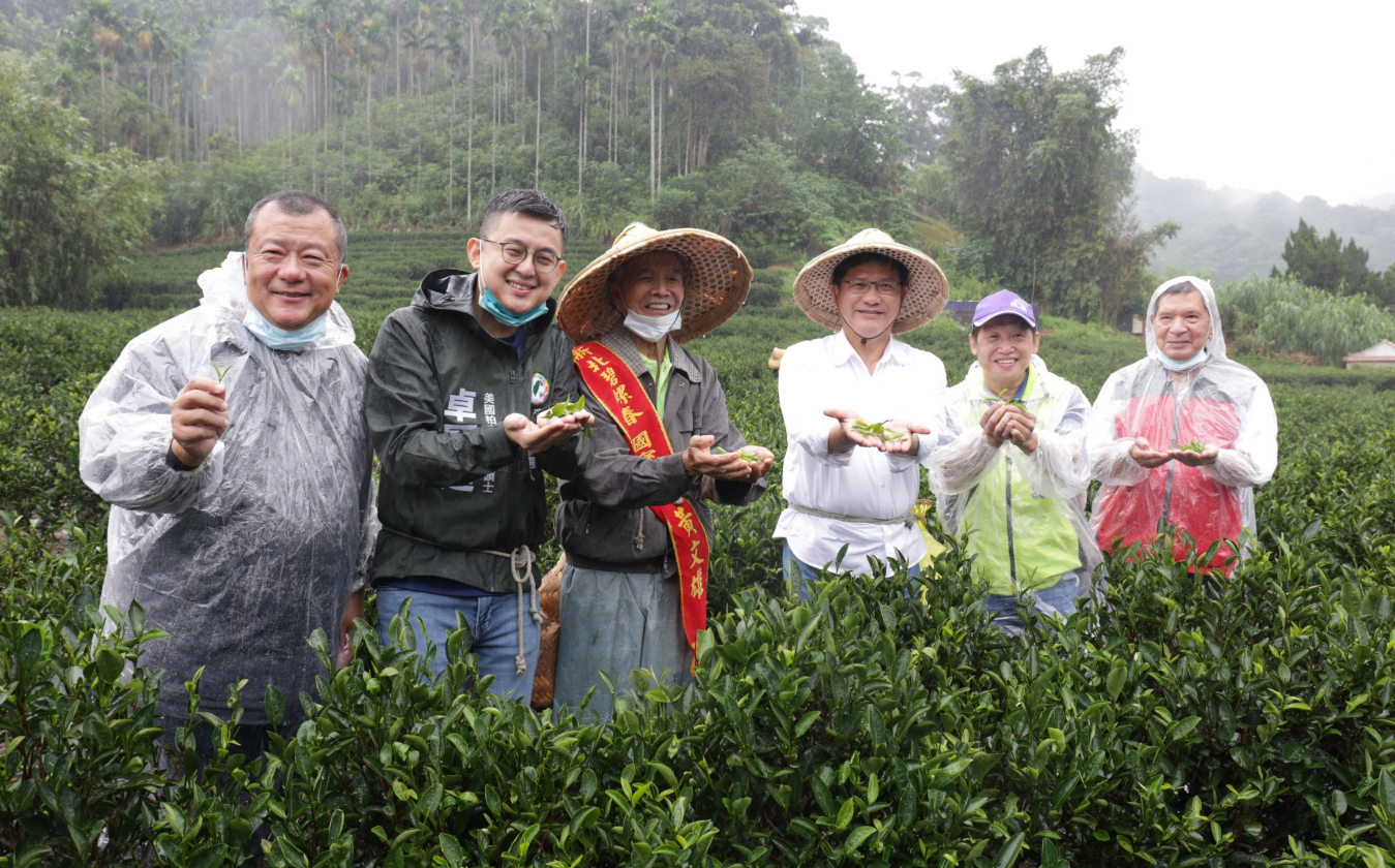 國慶造訪三峽國寶製茶師 卓冠廷與林佳龍當「一日茶農」 | 政治 | Ne