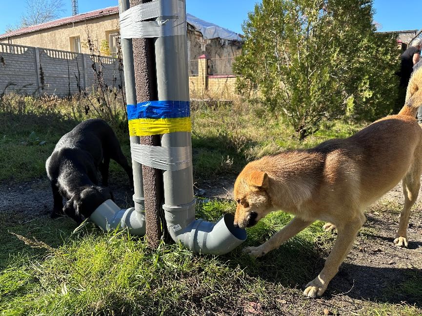 非營利組織「世界中央廚房」在烏克蘭提供寵物口糧給流浪動物。 圖:翻攝自推特Nate Mook @natemook 非營利組織「世界中央廚房」在烏克蘭提供寵物口糧給流浪動物。 圖:翻攝自推特Nate Mook @natemook