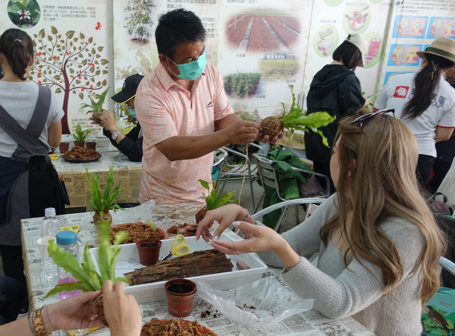 踩線活動新規畫時下最夯的蕨類上板DIY，感受療癒系的綠手指體驗。圖：參山處/提供