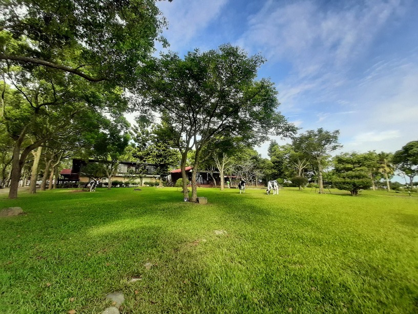 感受台東之美 12 15前 台灣好行 鹿野慢漫遊 套票優待0元 旅遊 Newtalk新聞