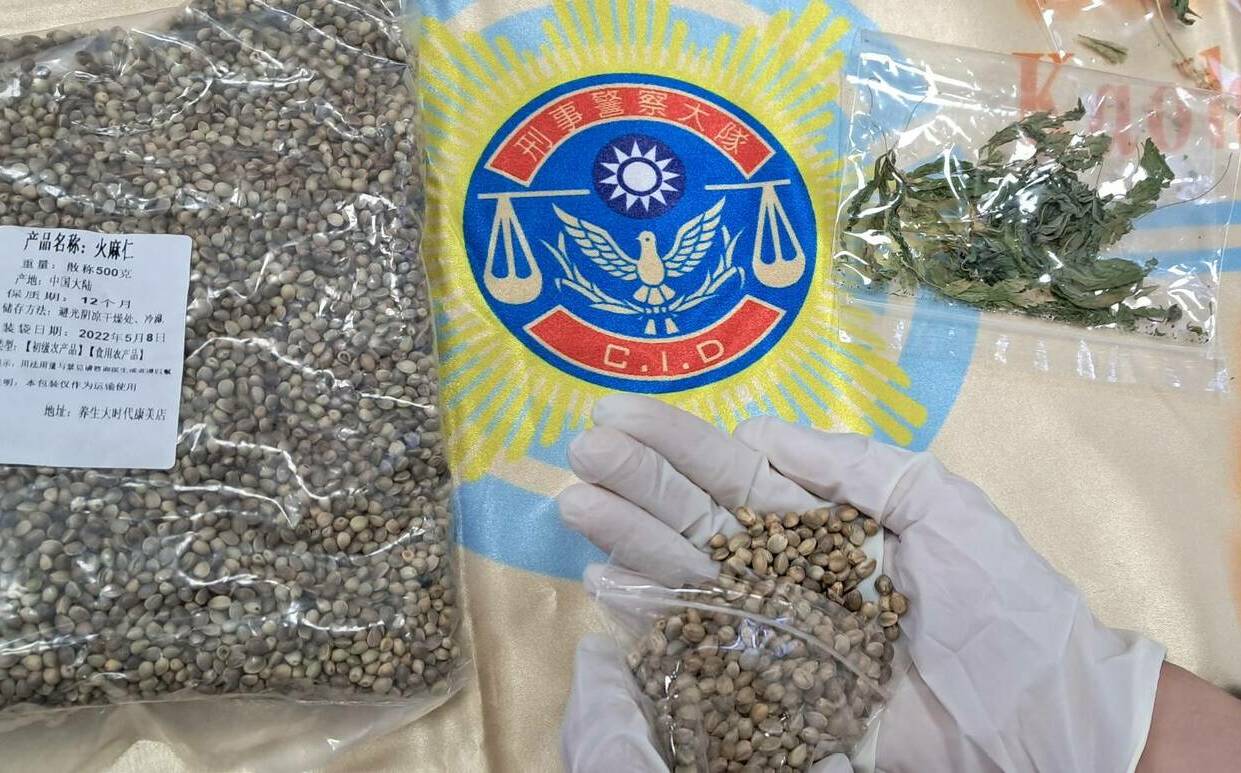 雄警再破大麻案 網路自學栽種「火麻仁」惹「麻」煩 | 社會 | Newtalk新聞