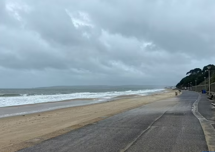 目擊者表示發現海怪的地點在英國英國多塞特郡 ( Dorset ) 的一處海灘。   圖: 翻攝自Reddit