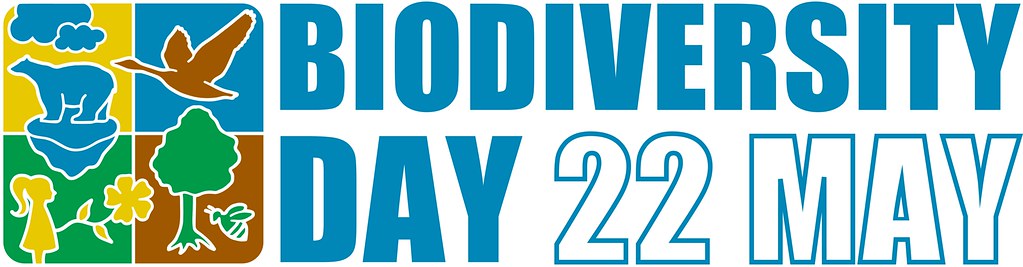 《生物多樣性公約》第十五次締約方大會（ COP15 ）在加拿大蒙特利爾舉行，各國代表正試圖敲定一項保護環境的全球協議。 圖：CBD Biodiversity Day 2022 Logo