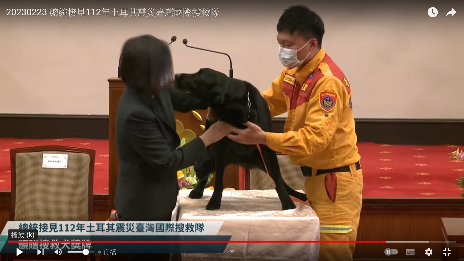 蔡英文肯定台灣搜救隊「台灣以你們為榮」、搜救犬熱情回舔 | 政治 | N