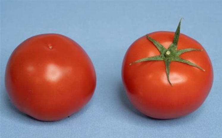 雞蛋只排第6！2月CPI出爐：番茄漲37.92% 查價368項有288項