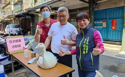 響應新北疫苗注射  台灣「潤鵝」取得身分證明逗趣萌翻眾人 | 生活 |