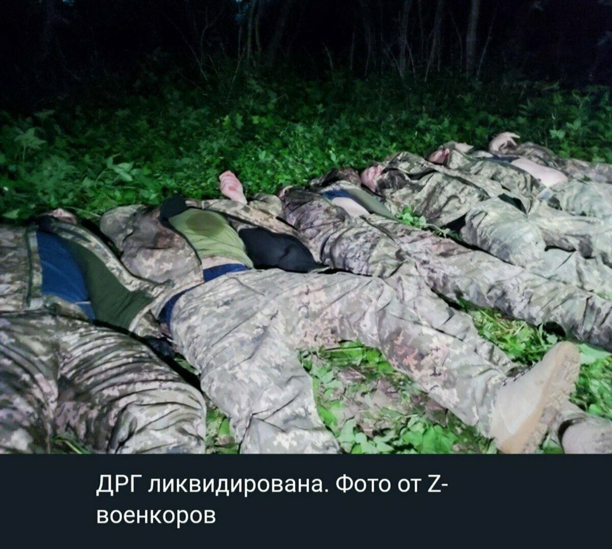 俄羅斯公開資料宣稱已經全數殲滅俄羅斯自由軍團，結果遭到打臉。 圖：翻攝自推特