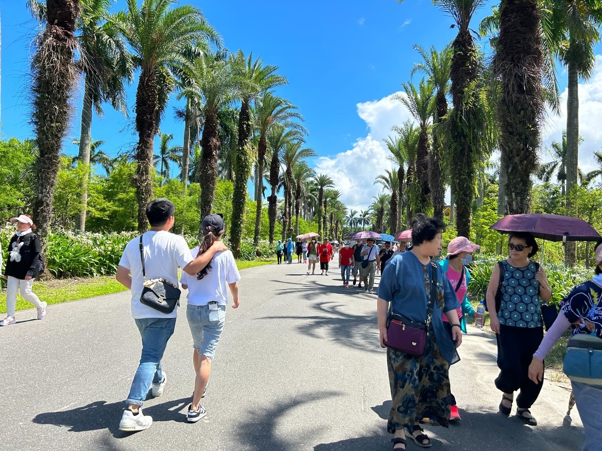7 月前 23 日的平均氣溫加起來，顯示北半球將迎來前所未有的夏季。圖：林岑韋／攝